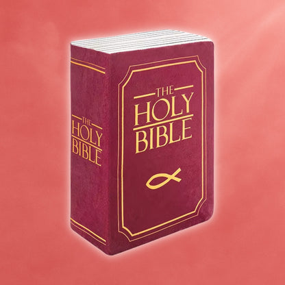 Holy Bible Pillow